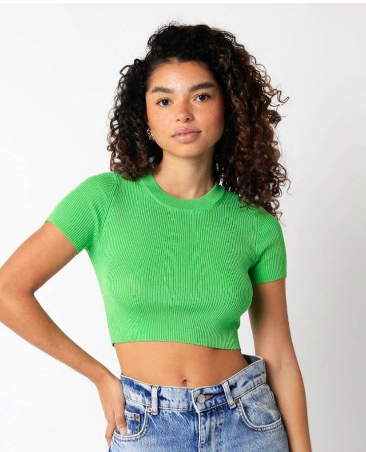 Cameron Crew Neck Cropped Top Sheer Trend Top