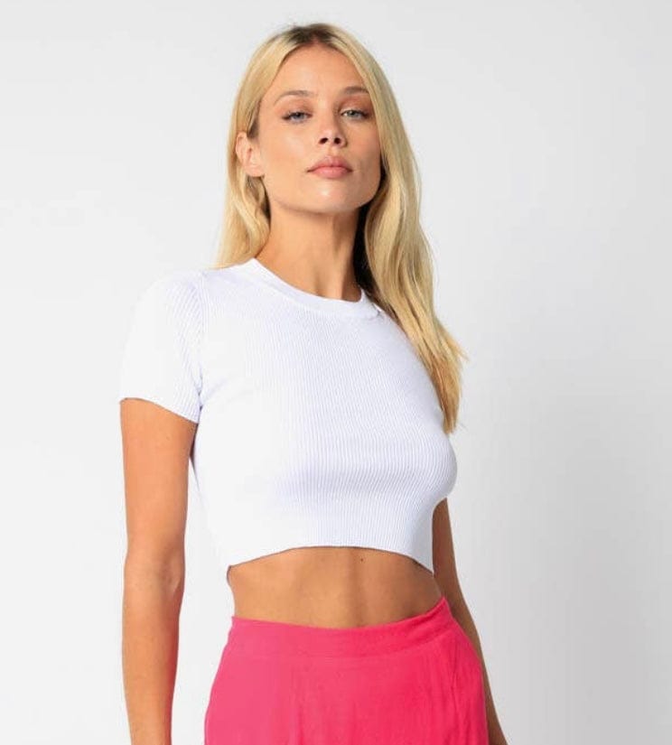 Cameron Crew Neck Cropped Top Sheer Trend Top