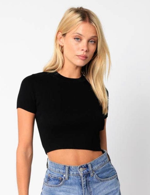 Cameron Crew Neck Cropped Top Sheer Trend Top